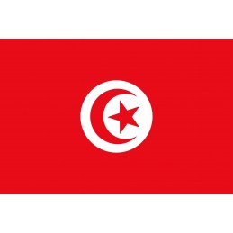 Drapeau Autocollant Tunisie 10 cm