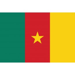 Drapeau Autocollant du Cameroun 10 cm