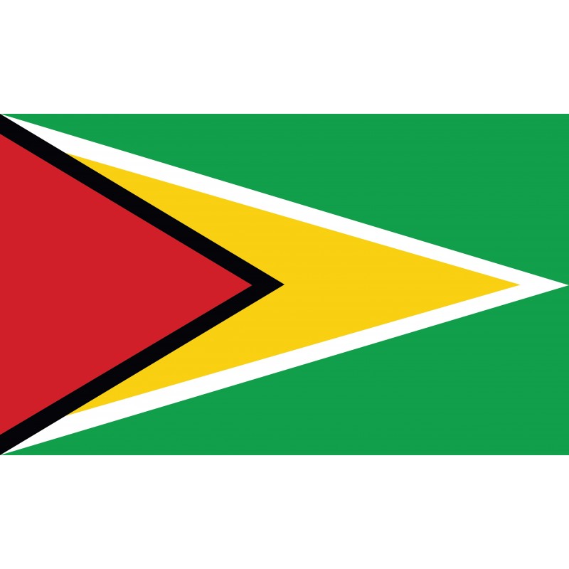 Drapeau Autocollant Guyana 10 cm
