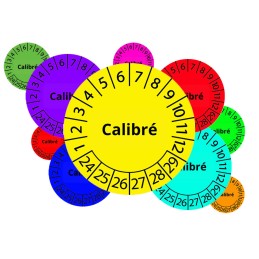 Pastilles de contrôle "Calibré"
